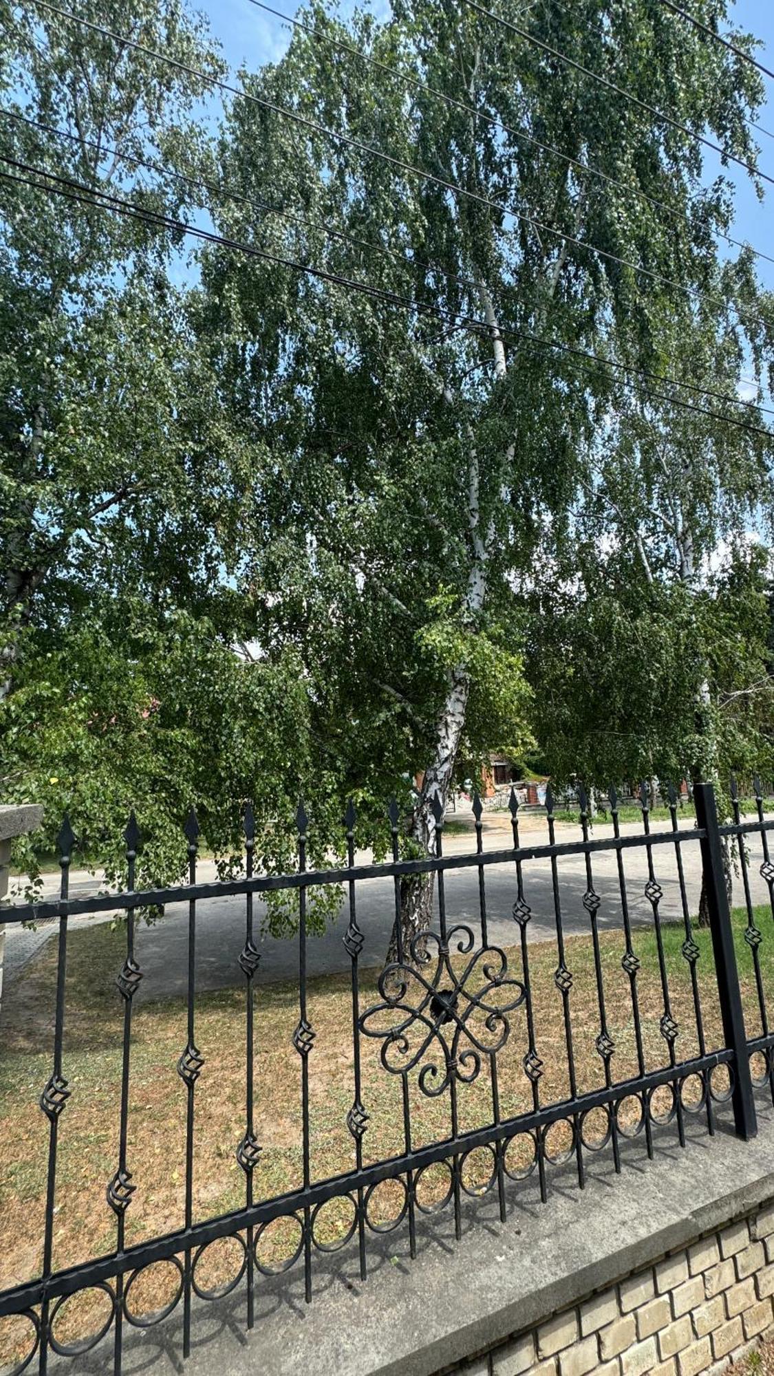 5 Haloszobas Wellness Vip House - Privat Medence Siófok Exterior foto